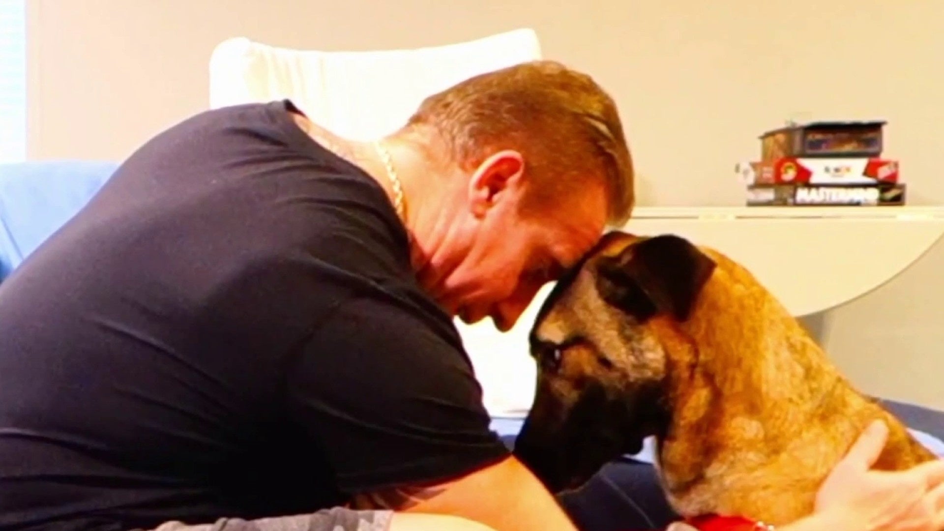 অলাভজনক সংস্থাগুলির জন্য স্বল্পমেয়াদী লালনপালন প্রয়োজন যা অভিজ্ঞদের সাহায্য করে