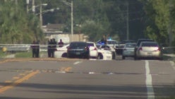 thumbnail-gfkgys2bobaueu2gnvaumljtkjwumtsc