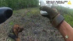 thumbnail-ha4ve2sgljvue5kchbjtsskqg43tqq3t