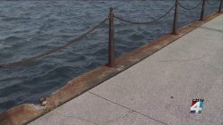 thumbnail-ijwhowklljaueu2gnvaumljtkj2vqscq