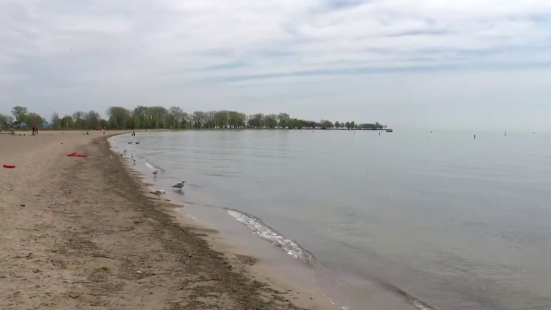Los legisladores de Michigan proponen el sistema de “alerta marrón” para advertir sobre las aguas residuales en las vías fluviales