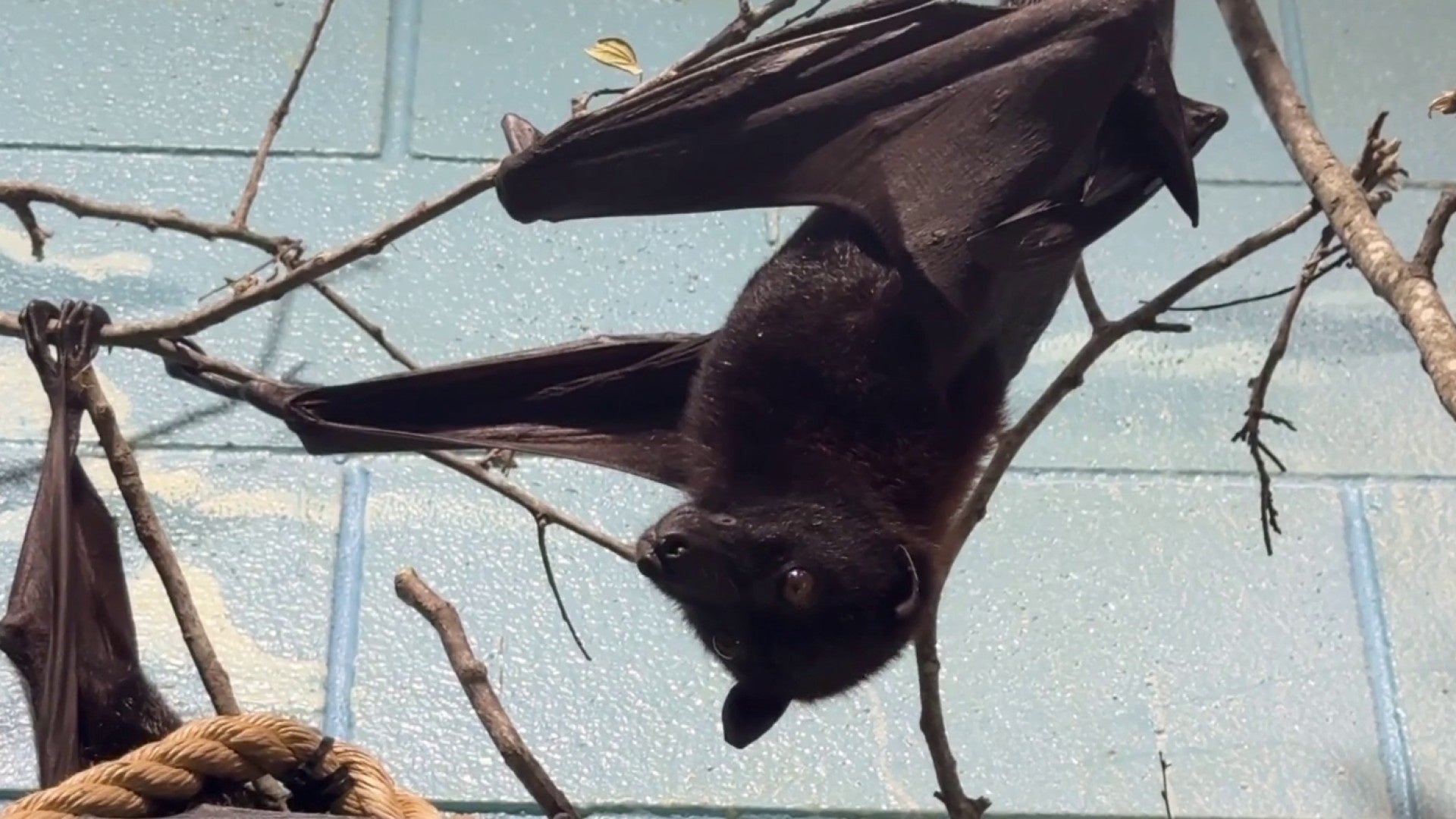 1704808179504_1920x1080_thumbn