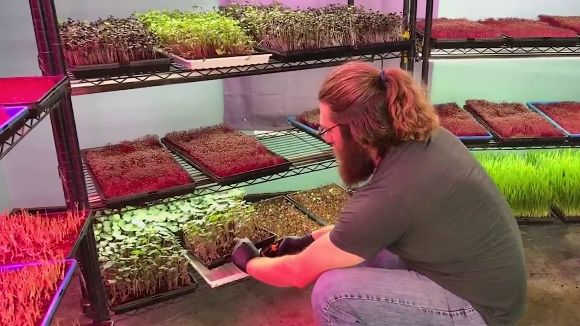<a href="https://www.ksat.com/news/local/2025/02/28/urban-farming-grants-aim-to-boost-local-produce-in-san-antonio/" target="_blank">Urban farming grants aim to boost local produce in San Antonio</a>