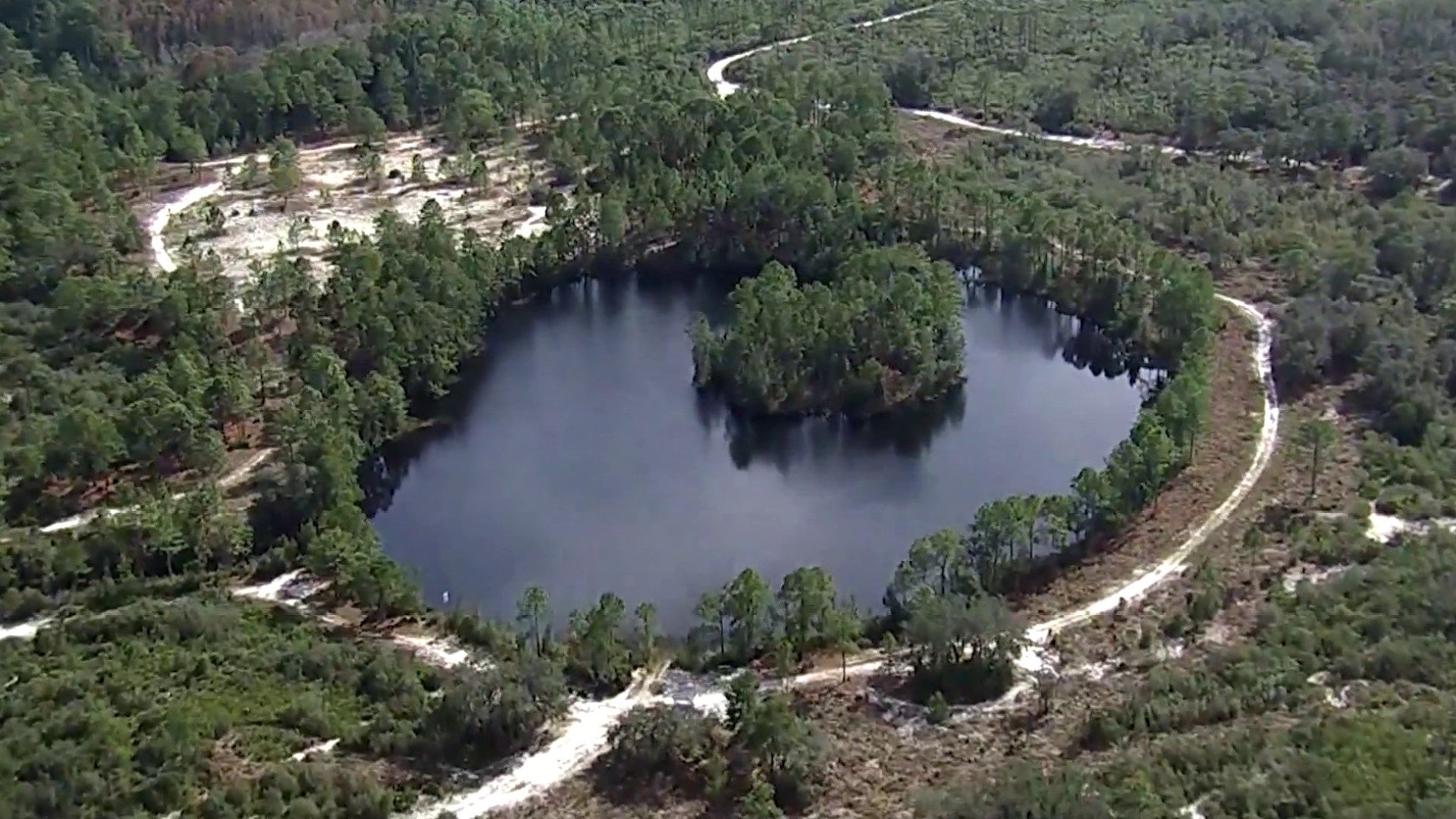 ‘Sets a really dangerous precedent:’ Rally opposes toll road through Split Oak Forest