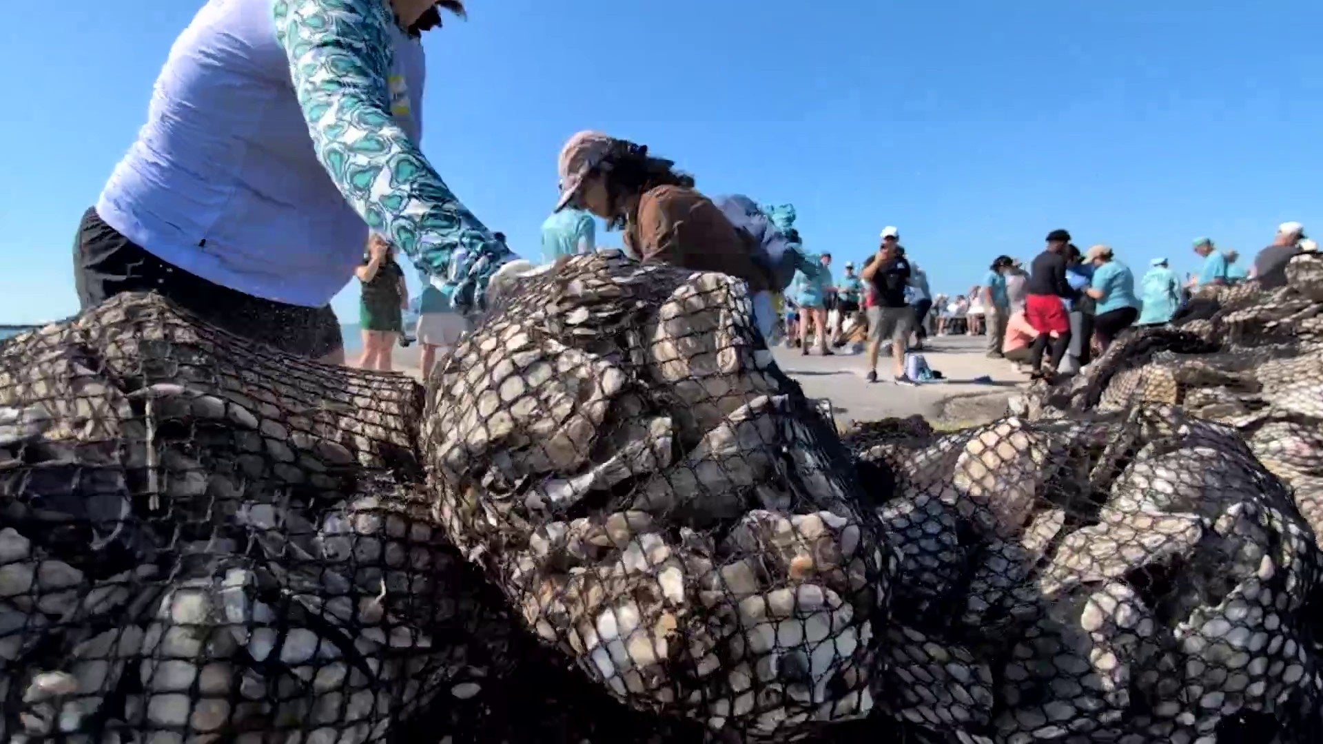 <a href="https://www.ksat.com/news/local/2025/05/15/oyster-bake-shells-werent-thrown-in-the-trash-after-fiesta-heres-where-they-ended-up/" target="_blank">100,000 Oyster Bake shells weren’t  trashed after Fiesta. They’re being used for reef rehab in Texas gulf.</a>