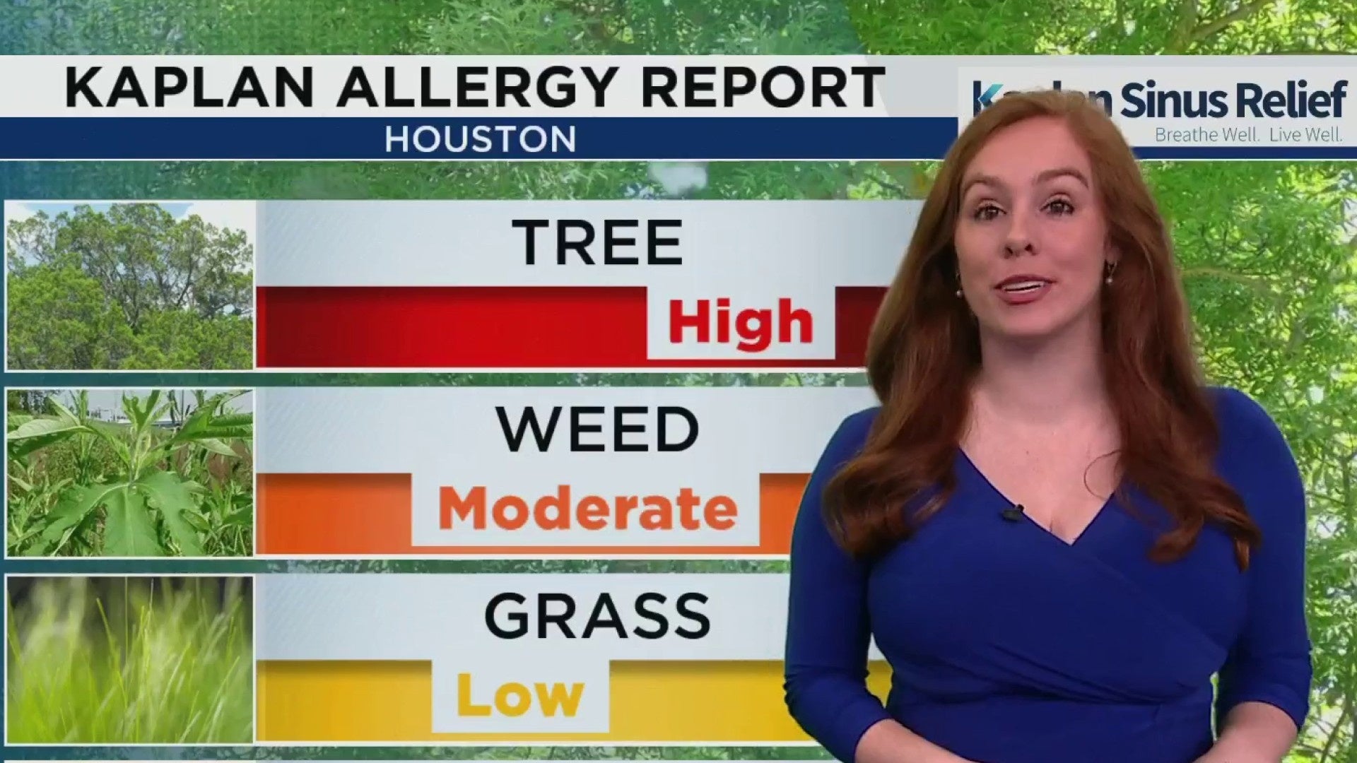 What is Cedar fever, and how is it different from seasonal allergies?