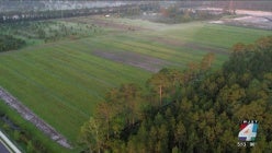 thumbnail-kznecllkgvrueylvpeyum2dzmn4umv3v