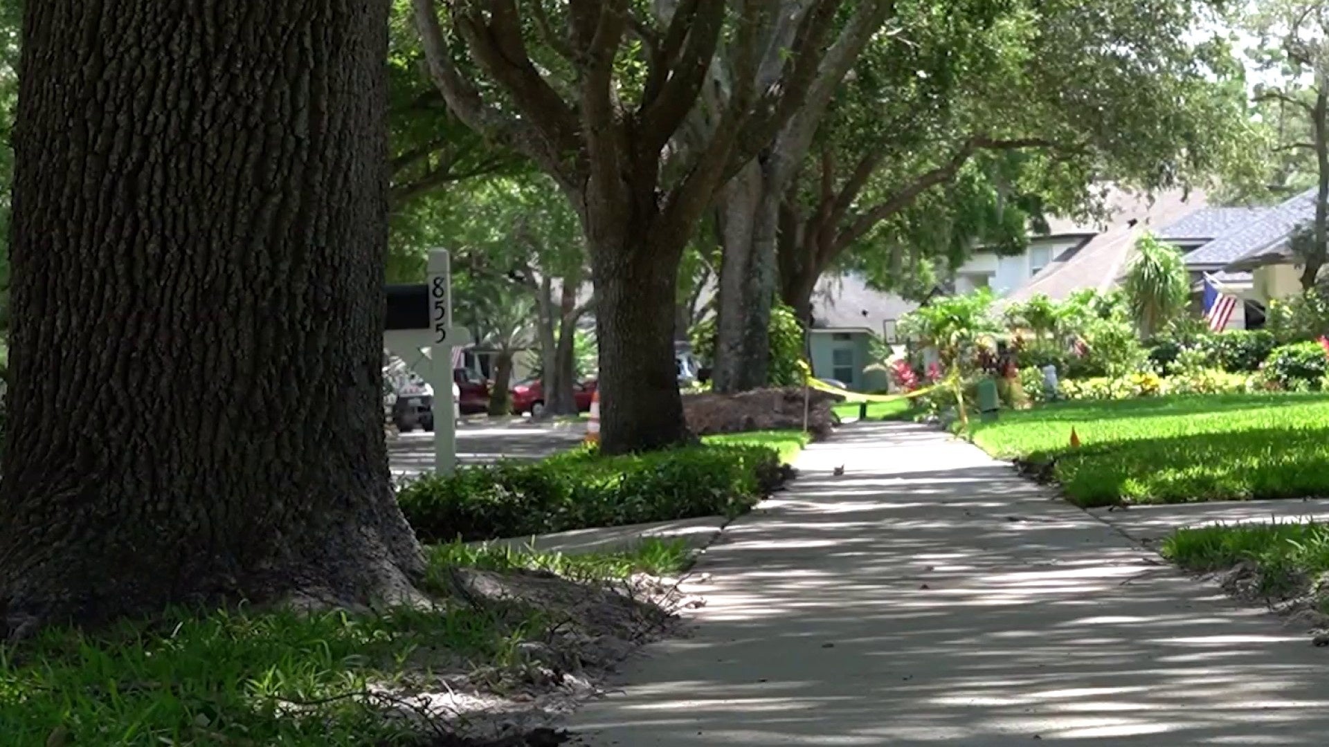 Oviedo neighborhood concerned about tree damage during sidewalk repairs