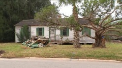 thumbnail-mf4xgz2rn4yeerkxivhvm5tskjptatkc