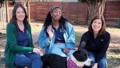 thumbnail-m5uuitsigv3ue5jxiffem2rng5hxorsx