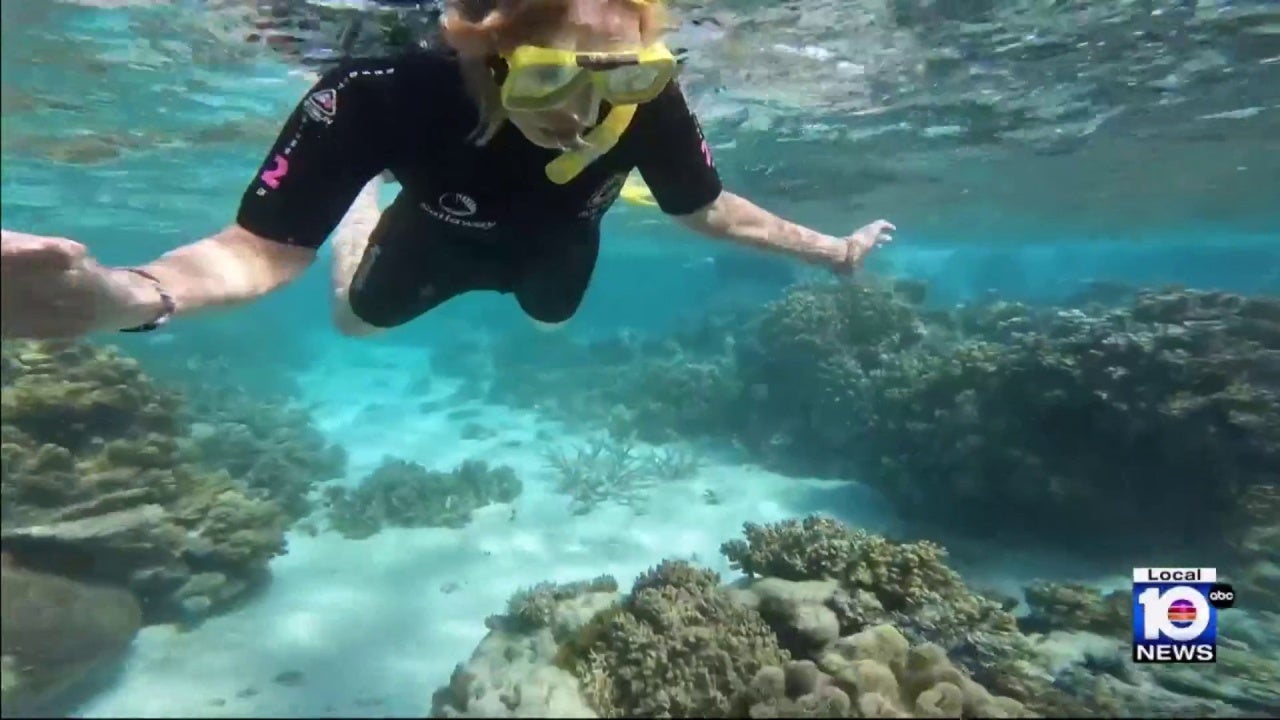 Echo Hero de Local 10 visita la Gran Barrera de Coral – WPLG Local 10