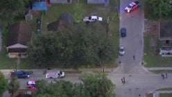 thumbnail-nbjww6sjgrxuewlkobeue3cyjvvvimsx