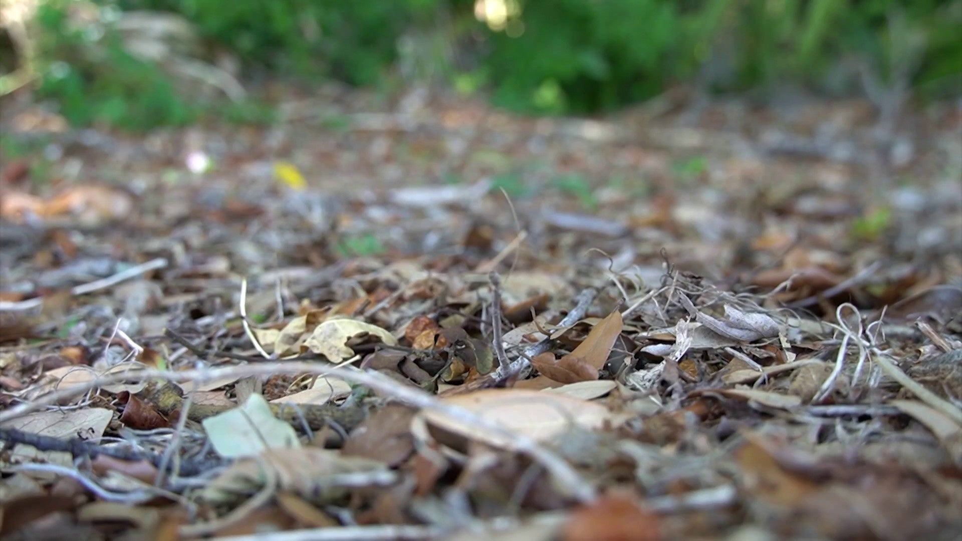 Here’s how a drought map is made, role it plays in burn bans