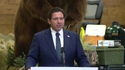 thumbnail-nvfdimclobvueutwizuxg2jxgfdhsqzs