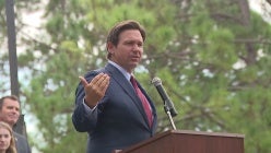 thumbnail-nzjgqucpljvuevltojtwyx3skfwfuwlz