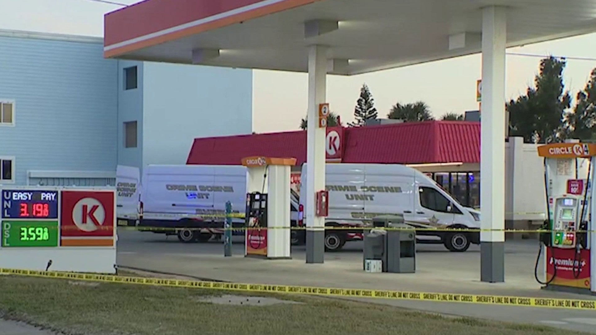 Reality kings mother son.