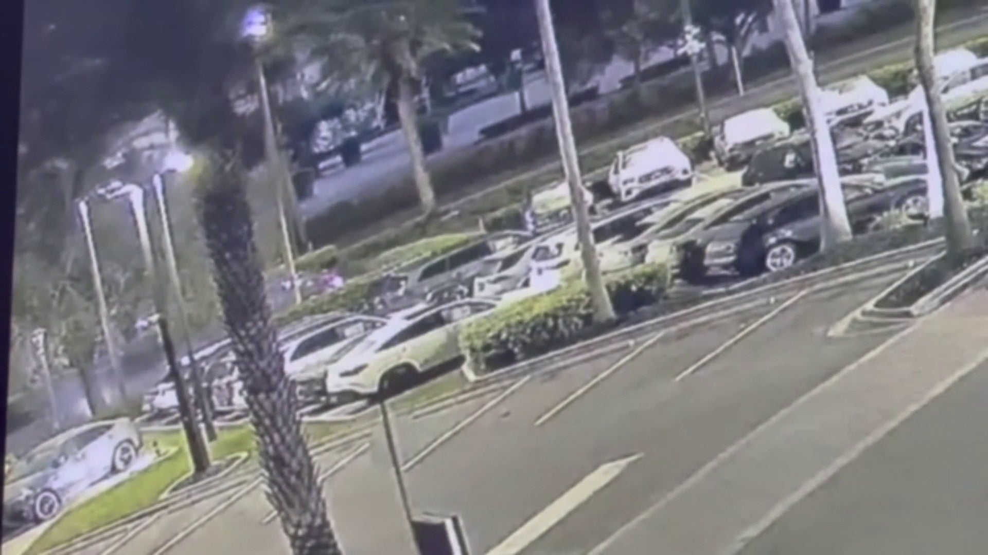 1 dead in crash on Millenia Boulevard in Orlando; video shows car
